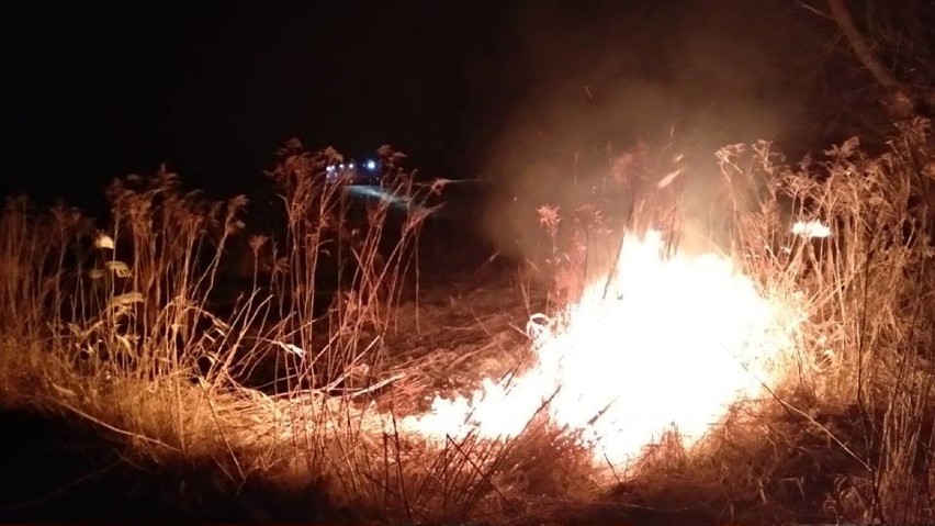 Pożar łąk w Gromcu i Wolbromiu. Rozpoczął się sezon na wypalanie traw