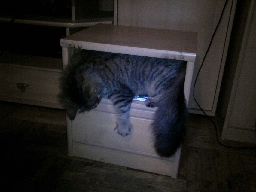 Franek bardzo lubi otwierać tę  szufladę
