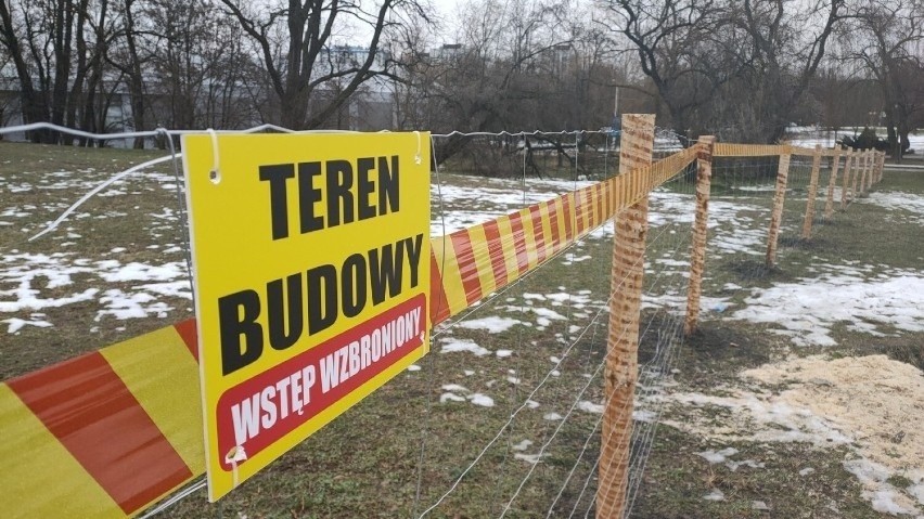 Działki spółki Vena położone są w Parku Hallera w Dąbrowie...