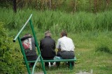 Urząd Miasta w Częstochowie nie wyklucza, że powstanie Śródmiejska Promenada