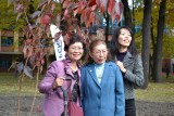Dni Kultury Japońskiej 2013 w Zabrzu. Posadziliśmy drzewa japońskiej wiśni