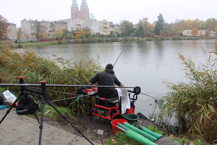 Gniezno. Zawody wędkarskie „Spławika” nad Jeziorem Jelonek [FOTO]