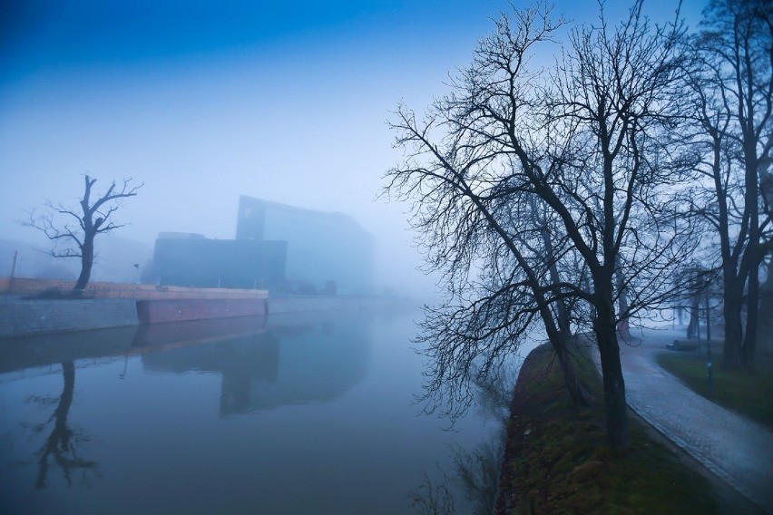 Zjawiskowy Wrocław we mgle. Miasto dziś rano wyglądało tajemniczo. Zobacz zdjęcia! 
