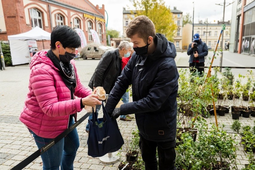 Tegoroczna odsłona akcji "Bądź EKO na jesień odbyła się w...