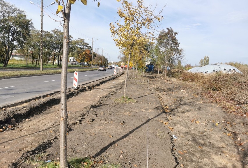 Trwa budowa ścieżki rowerowej na ulicy Żelaznej w Piotrkowie