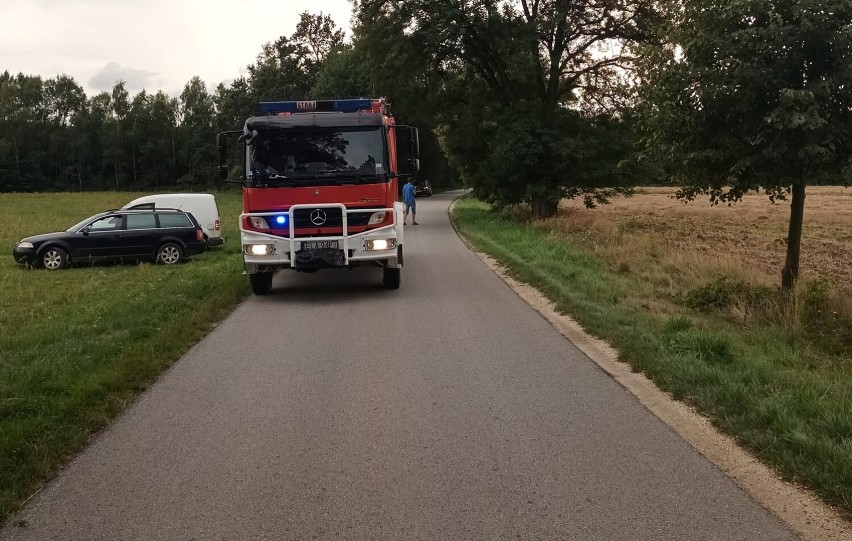 Śmiertelny wypadek w gminie Łask. Motocyklista zginął po zderzeniu z koniem