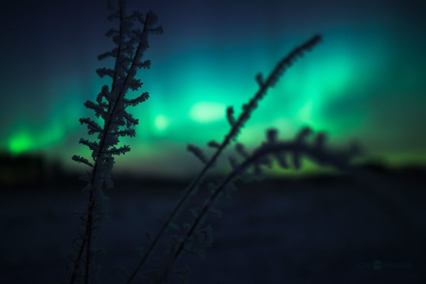 Zorza polarna w Finlandii. Te zdjęcia aż zachęcają, by tam zamieszkać