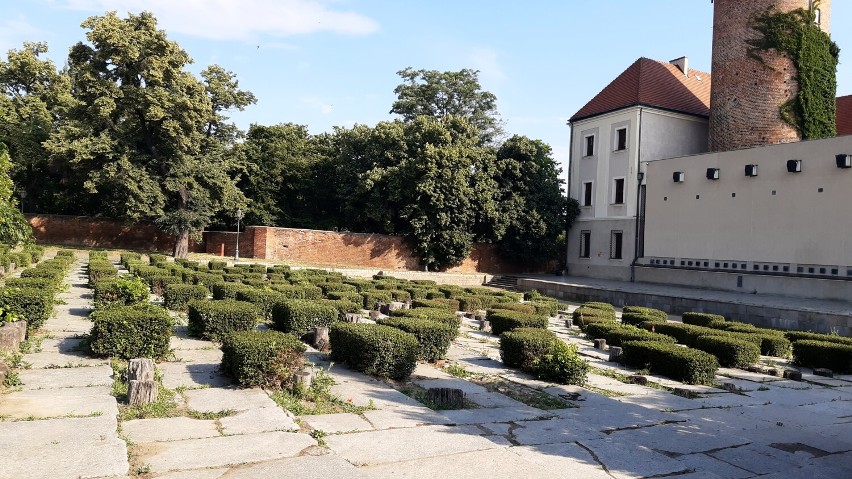 Według planów to miejsce ma się w przyszłości zmienić