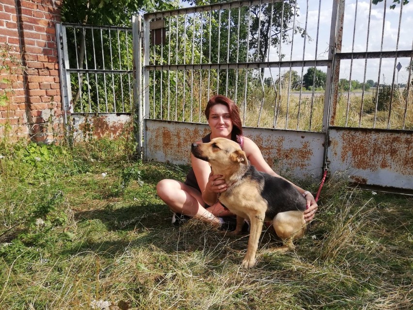 „Zawsze byłam psiarą.” 23-latka z powiatu łęczyckiego szuka nowych domów dla porzuconych zwierząt