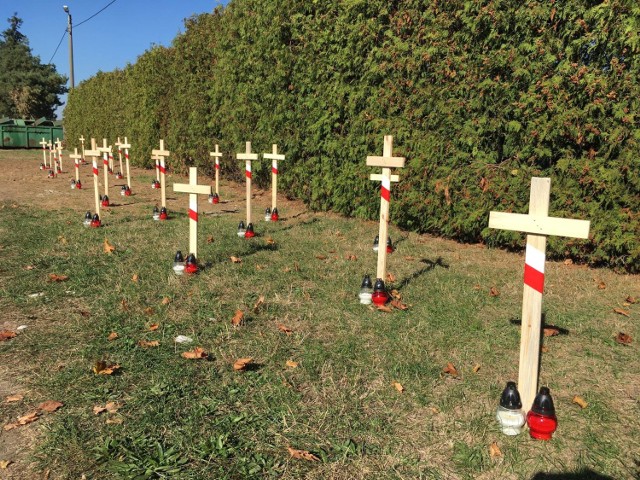 Już po obchodach 73. rocznicy Bitwy Odolanowskiej w miejscu, gdzie mają spoczywać żołnierze "Błyska", stanęły symboliczne krzyże