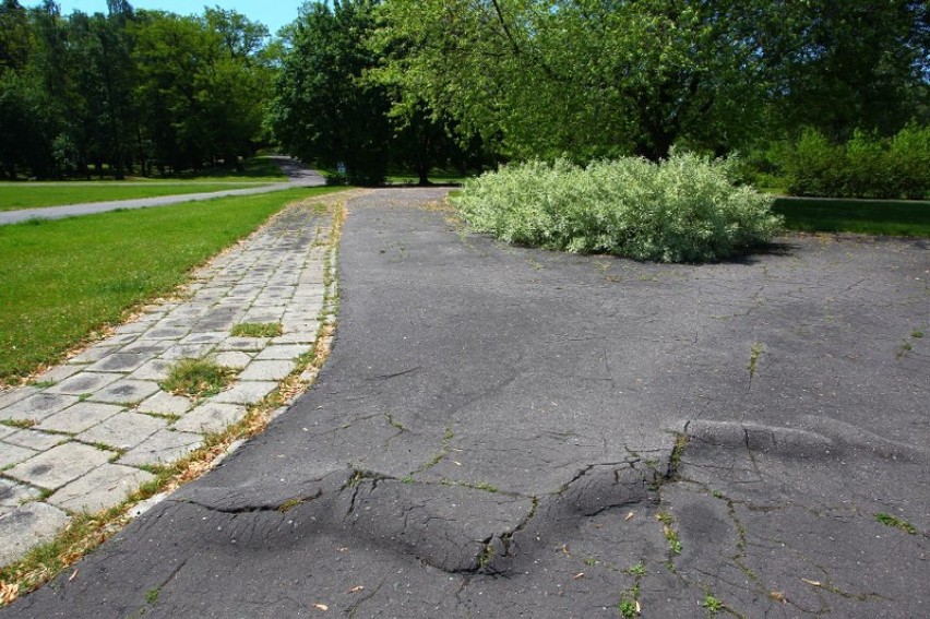 Park Tysiąclecia: Znów będzie szkółka rowerowa dla uczniów!