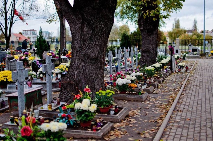 Grobów na głogowskich cmentarzach trzeba szukać w aplikacji...