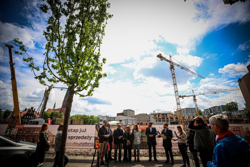 Przy ul. Raciborskiej w Katowicach posadzono nowe drzewa....