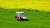 Ilu rolników w Polsce ubezpiecza uprawy? Warto pamiętać, czym skutkuje brak polisy i dlaczego warto ją wykupić z dopłatą