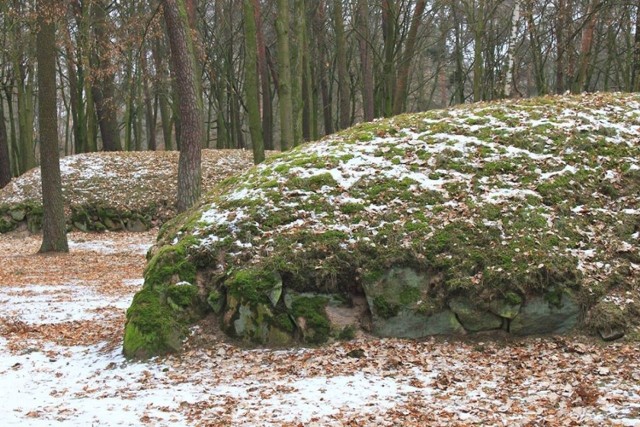 Na zdjęciu grobowce megalityczne z Wietrzychowic