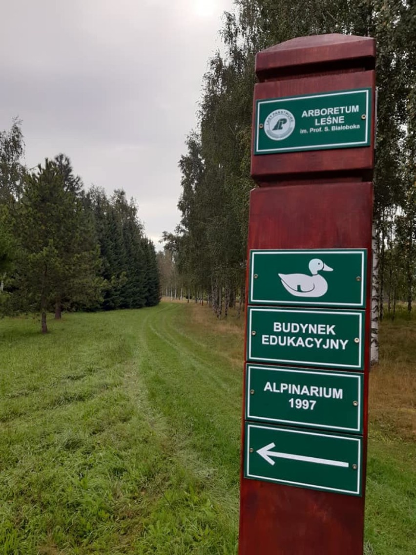 Nowe oznakowanie w Arboretum Leśnym im. prof. Stefana Białoboka w Stradomi