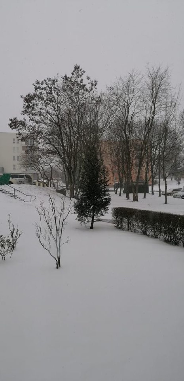 Zimowe zdjęcia okolicy w wykonaniu Czytelników.