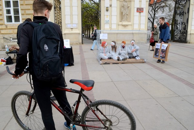 Kampania "Jak one to znoszą?"