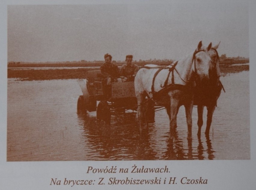 Osuszanie Żuław po zalaniu w 1945 r.