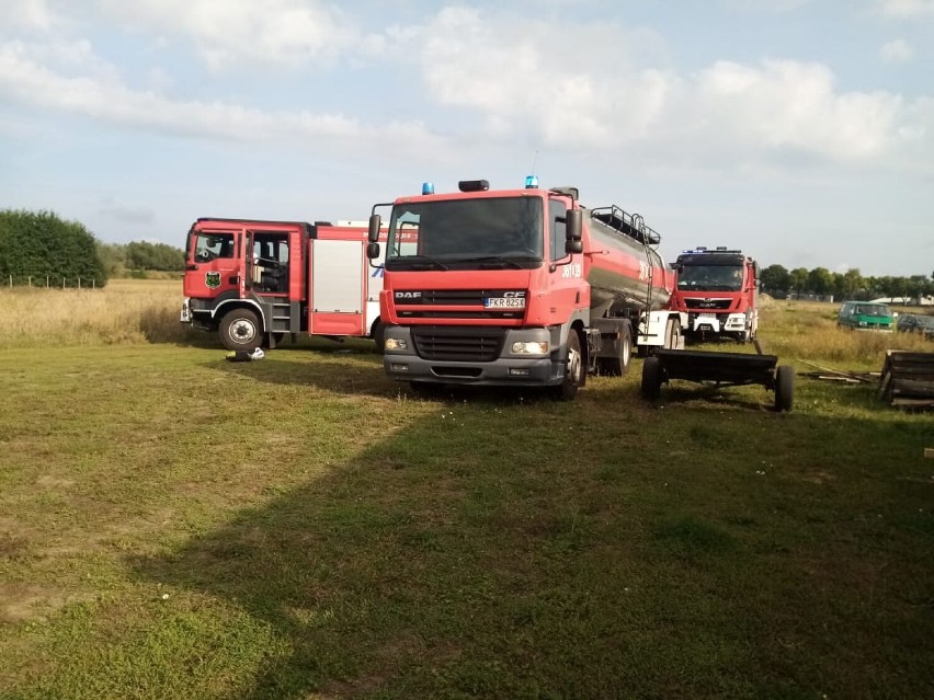 Gaszenie pożaru w okolicach Dąbia, który wybuchł w...