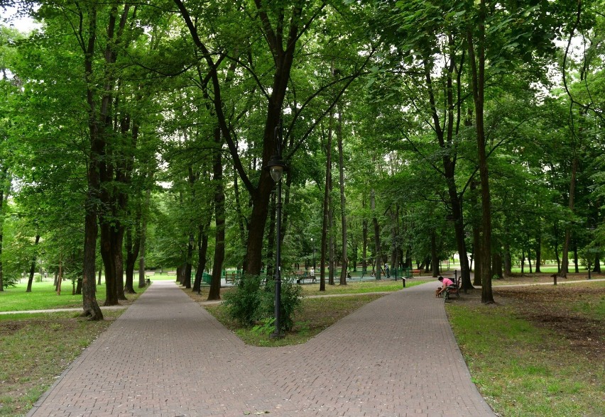 Park Leśniczówka w Radomiu to doskonałe miejsce na rodzinne...