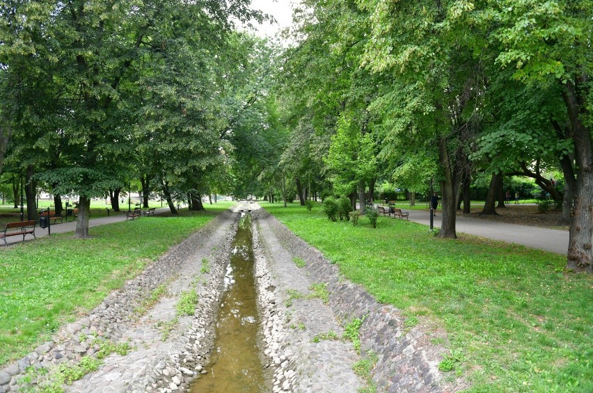 Park Leśniczówka w Radomiu to doskonałe miejsce na rodzinne spacery w centrum miasta. (Zdjęcia)