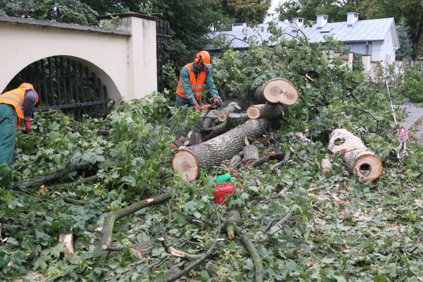Nocna wichura połamała drzewa w Parku Miejskim w Kielcach. Spadały na chodnik - było bardzo niebezpiecznie (WIDEO, ZDJĘCIA)
