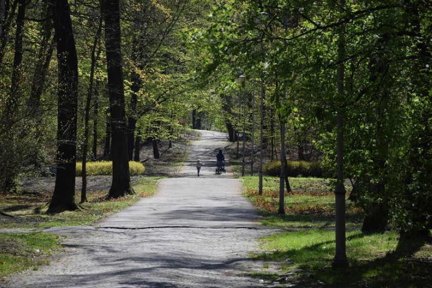 Park Śląski,Dolina Trzech Stawów w Katowicach,Paprocany w...