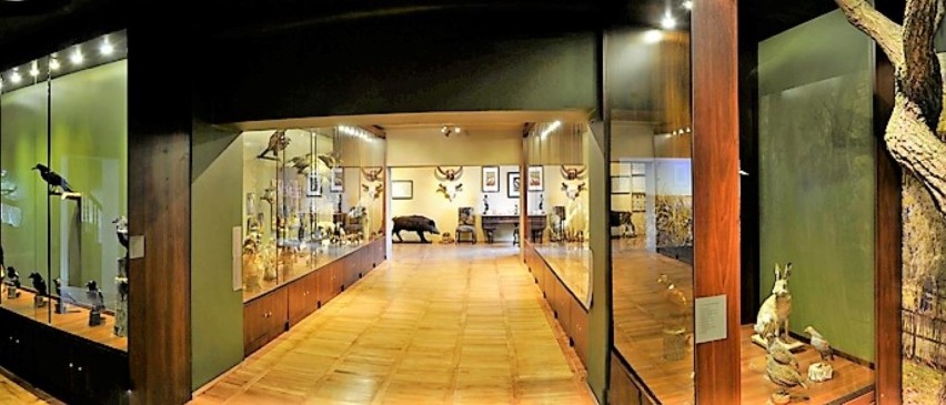 Można  już zwiedzać wystawy w Muzeum Ziemi Chełmskiej. Zobacz zdjęcia