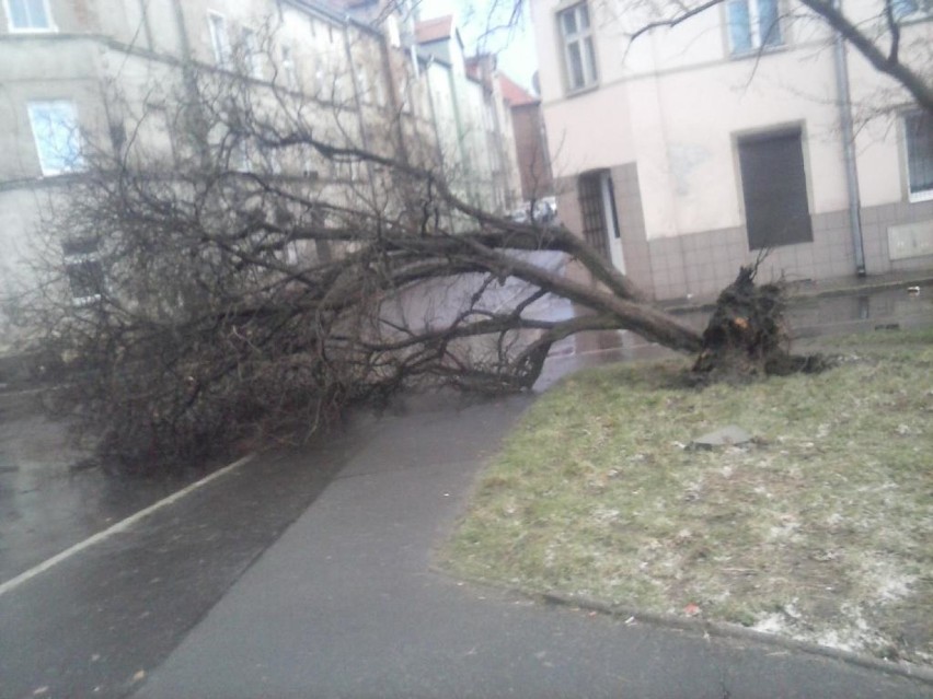 Ulica Piotra Skargi w Wałbrzychu