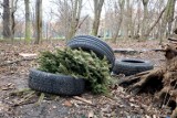 Dzikie wysypisko śmieci w Legnicy, tuż obok Zabytkowego Parku, zobaczcie aktualne zdjęcia