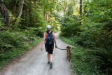Te atrakcje turystyczne na Lubelszczyźnie możesz zwiedzić z psem. Zobacz, które miejsca w naszym regionie są przyjazne zwierzętom!
