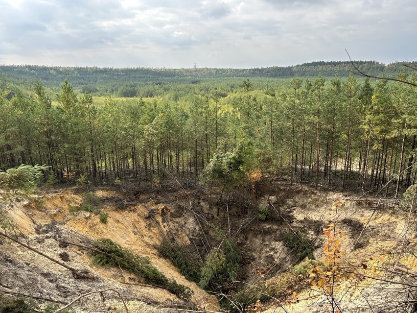 Zapadliska w lesie między Olkuszem i Hutkami
