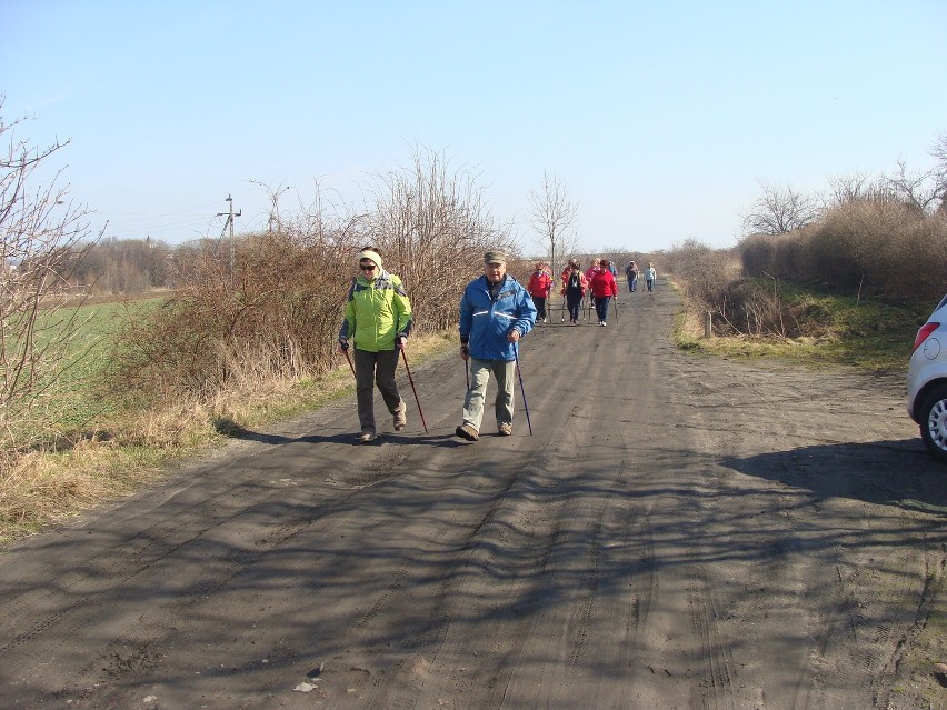 Wiosenny spacer nordic walking