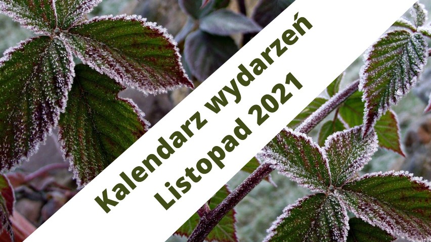 Gmina Zbąszyń: Kalendarz wydarzeń listopad 2021