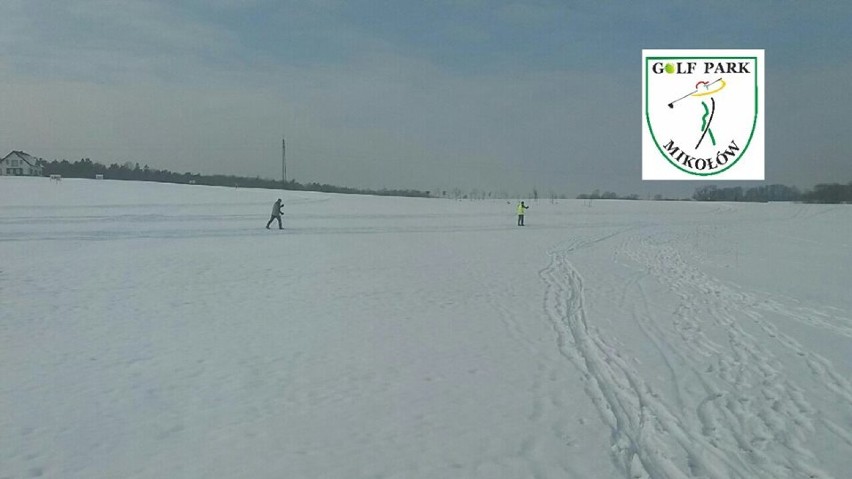 Golf Park Mikołów: narty biegowe zamiast golfa