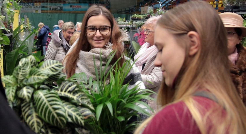 "Festiwal roślin" w hali sportowej na osiedlu Lotnisko w...