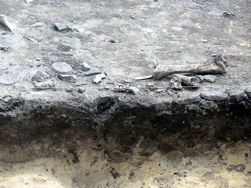 Kalisz - Archeolodzy odkryli cenne zabytki na Starym Mieście. ZOBACZ FILM