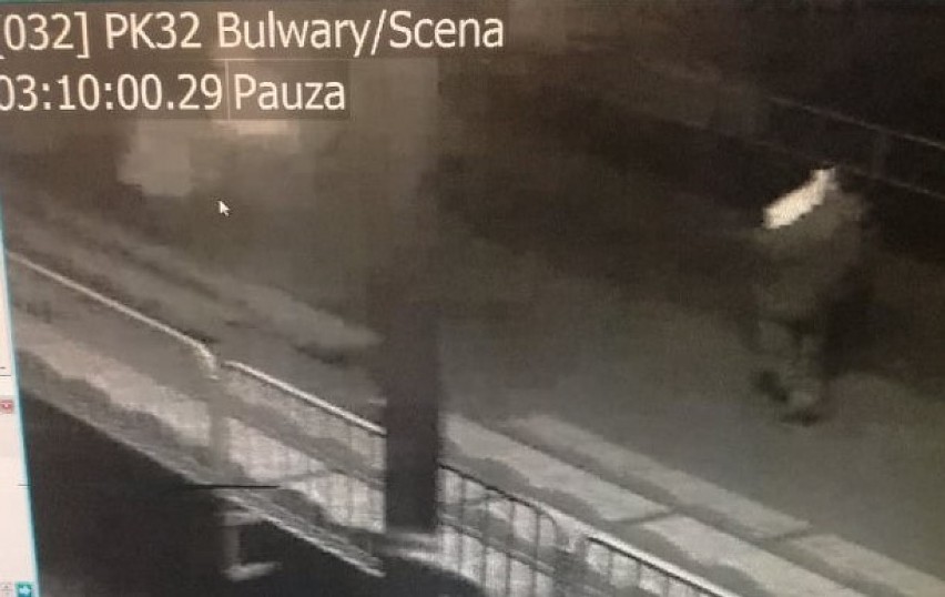 Czterech mężczyzn z łopatą i martwym psem na bulwarach we Włocławku. Sprawę zbada prokuratura