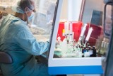 Komisja Europejska zatwierdziła umowę na szczepionki od firm Pfizer oraz BioNTech. Przewidzianych jest nawet 300 milionów dawek