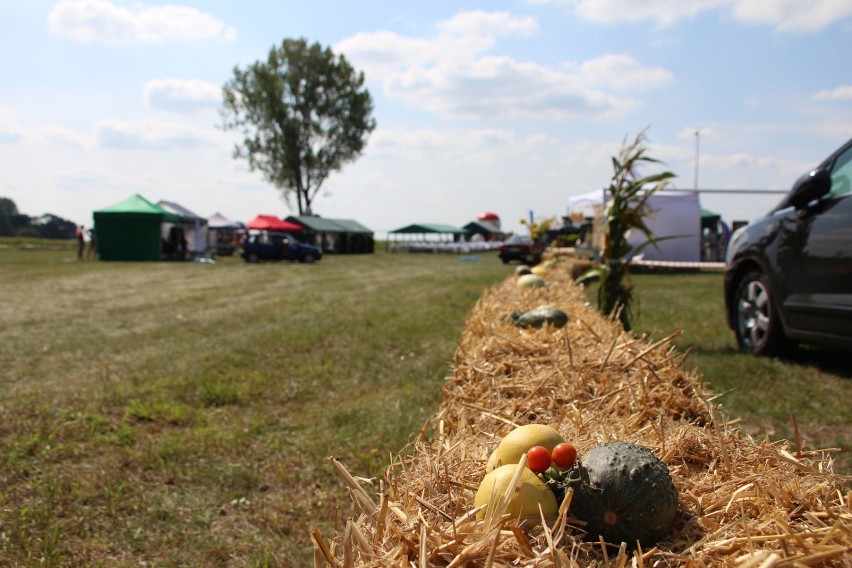 Dekoracje dożynkowe 2019 r.Tylewice