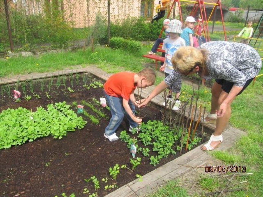 W przedszkolach w Mieście i Gminie Pleszew mają powstać ogródki warzywno-ziołowe