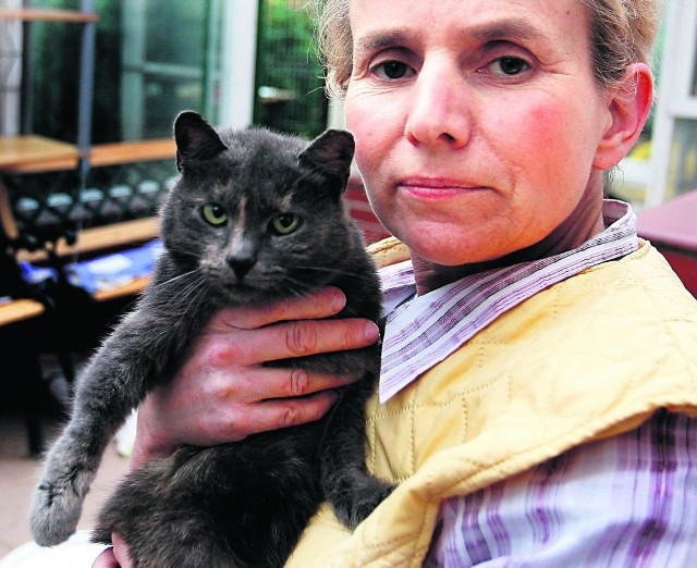 Irena Jarosz od lat ratuje prześladowane miejskie koty