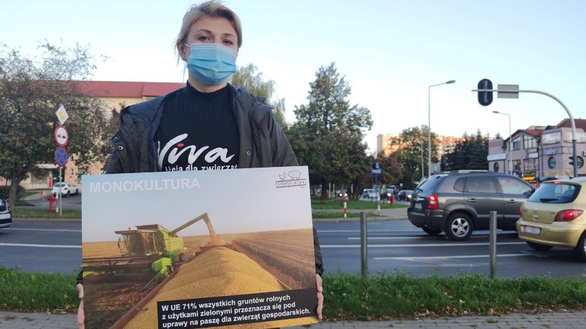 Wege dla klimatu - akcja Vivy w Piotrkowie