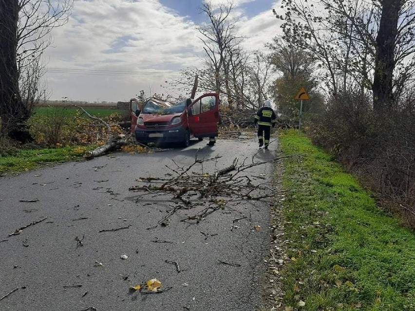 Wichura w powiecie szamotulskim. Strażacy mieli pełne ręce pracy. Blisko 80 akcji [FOTO]