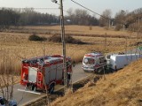 Tragiczny wypadek podczas wycinki drzew. Nie żyje mężczyzna