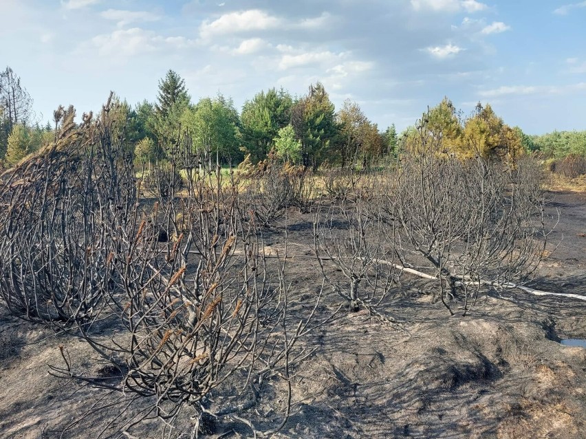 W niedzielę w ciągu godziny doszło do dwóch pożarów [ZDJĘCIA]