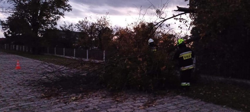 Wichura nad powiatem lublinieckim. Auto wjechało w powalone drzewo 