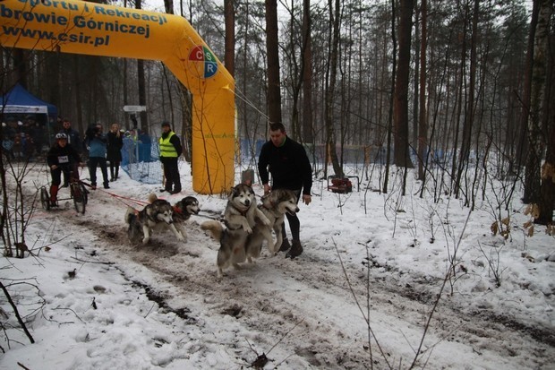 Dąbrowa Górnicza: Ponad 30 zawodników w Eurocampingu. II Mistrzostwa Ziemi Śląsko-Dąbrowskiej