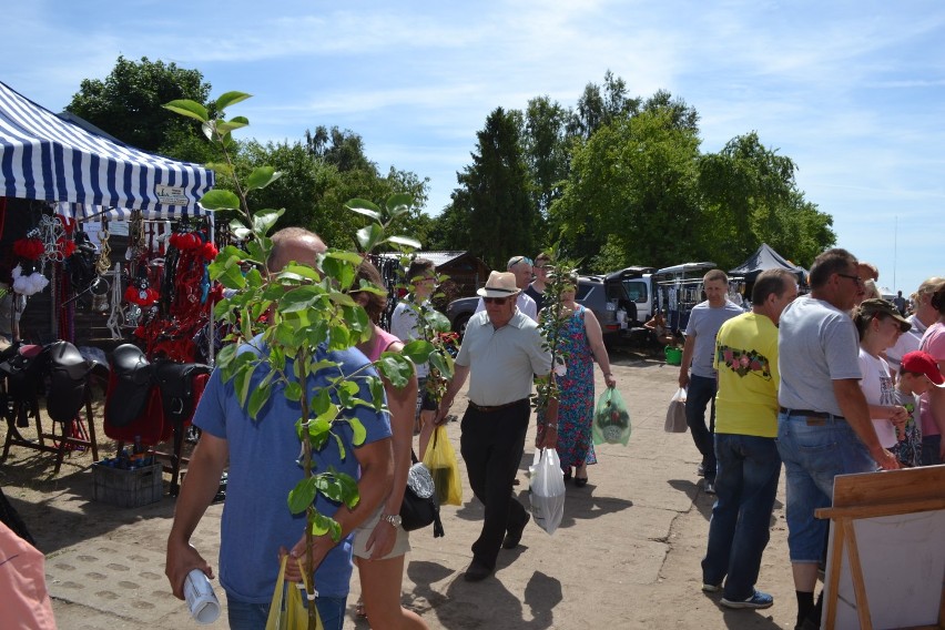 Pomorskie Agro Targi w Lubaniu. Zobacz, jak tysiące mieszkańców Pomorza spędziło weekend [ZDJĘCIA, WIDEO]